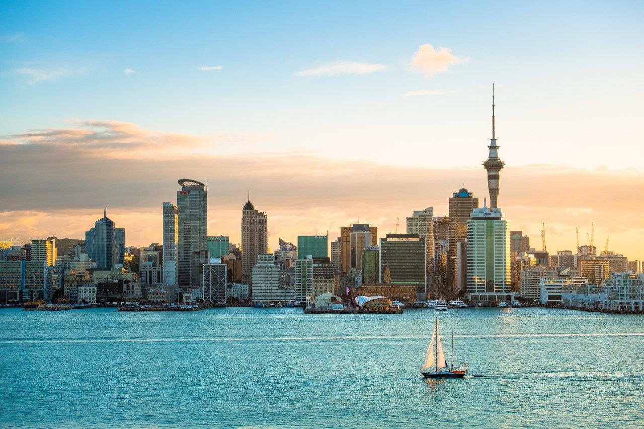 Chauffeur service New Zealand